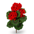 15 Inch Red Geranium Bush