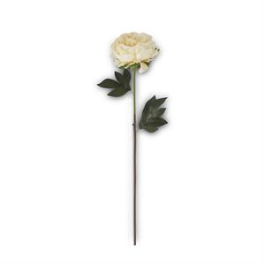 26 Inch Cream Peony Stem