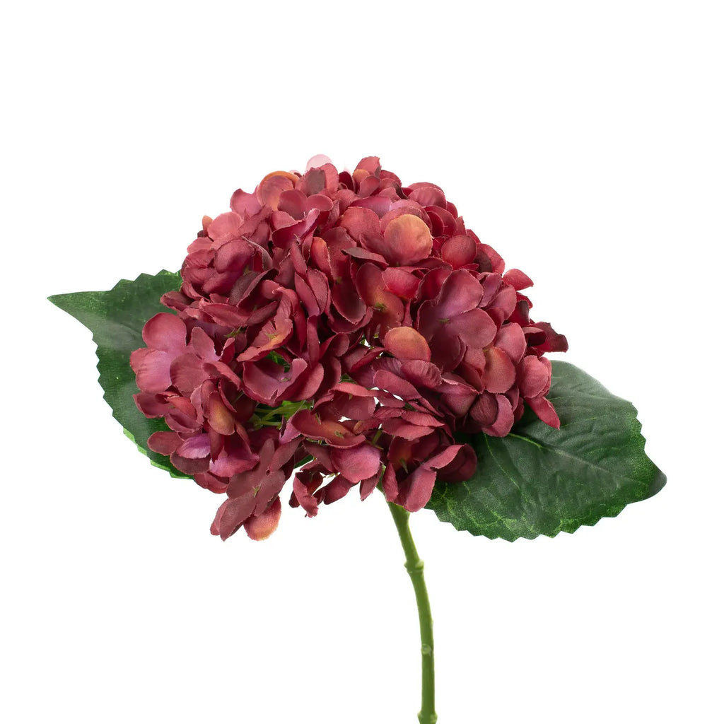 Hydrangea Pick Apple Red