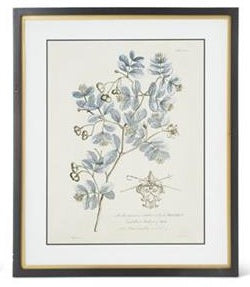 Assorted 23.75 Inch Black & Gold Framed Blue Arbor Prints