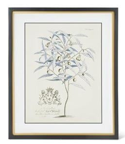 Assorted 23.75 Inch Black & Gold Framed Blue Arbor Prints