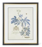 Assorted 23.75 Inch Black & Gold Framed Blue Arbor Prints