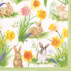 Caspari Cocktail Napkins