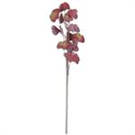 Burgandy Ginko Stem