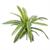 24 Inch Real Touch Agave Foilage Spray