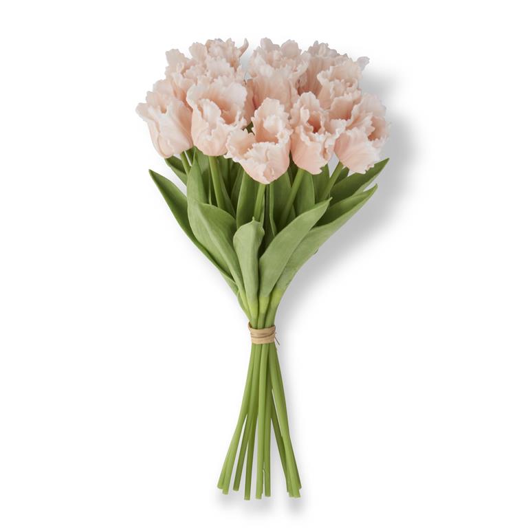13 Inch Light Peach Parrot Tulip Bundle