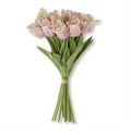 13 Inch Pink And Cream Parrot Tulip Bundle
