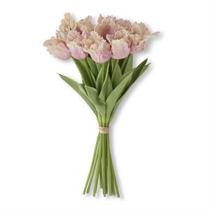 13 Inch Pink And Cream Parrot Tulip Bundle