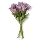 13 Inch  Purple Parrot Tulip Bundle