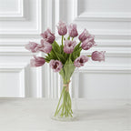 13 Inch  Purple Parrot Tulip Bundle