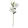 35 Inch White Lily Stem