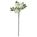 23 Inch White Mountain Laurel Stem