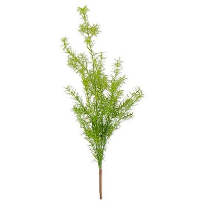 27 Inch Asparagus Fern Bush