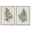31.5 Inch Wood Framed Green Fern Print