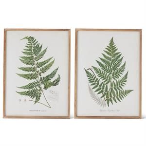 31.5 Inch Wood Framed Green Fern Print