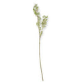 31" Powdered Green Eucalyptus Berry Bud Stem