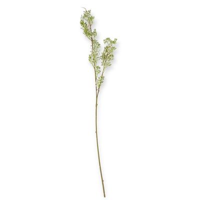 31" Powdered Green Eucalyptus Berry Bud Stem