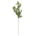 36 Inch Dill Spray