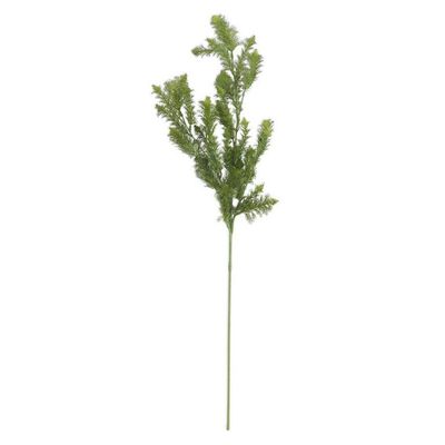 36 Inch Dill Spray