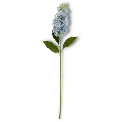 38.5 Inch Blue Cone Hydrangea