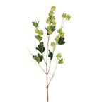 39 Inch Green Hops Stem