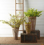 39 Inch Green Hops Stem