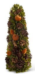 Apple And Pinecone Tree