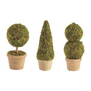 Mini Moss Covered Topiary