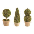 Mini Moss Covered Topiary