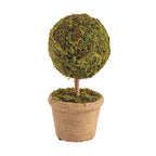 Mini Moss Covered Topiary