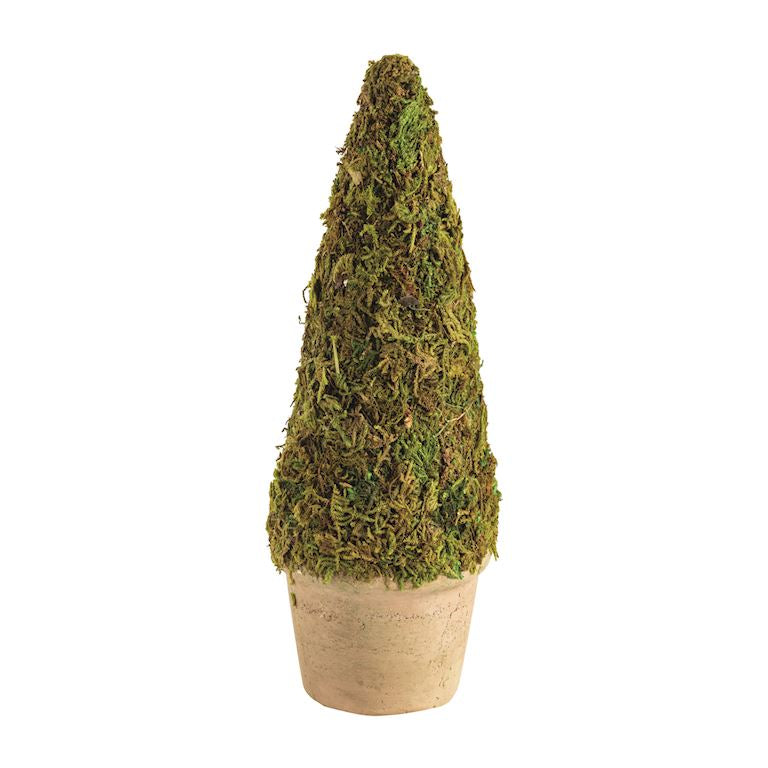 Mini Moss Covered Topiary
