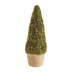 Mini Moss Covered Topiary
