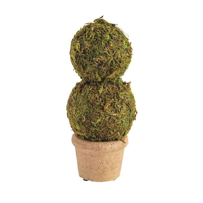 Mini Moss Covered Topiary