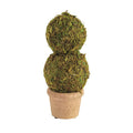 Mini Moss Covered Topiary