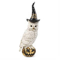 White And Gold Owl With Witch Hat