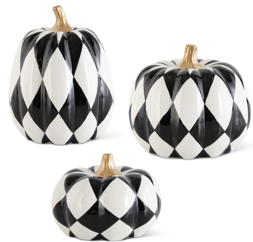 Black And White Harlequin Pumpkins