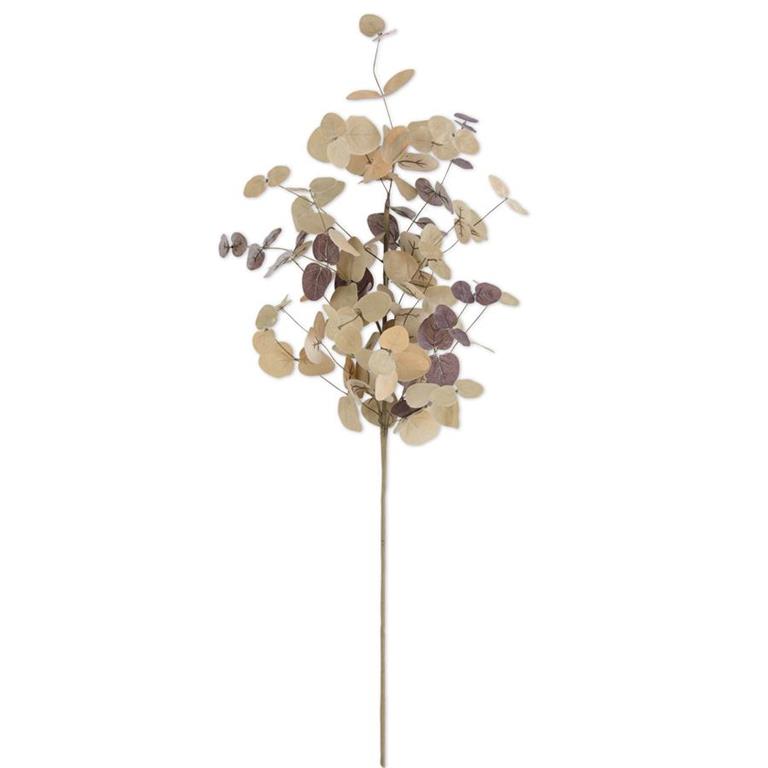 36 Inch Tan Two Tone Eucalyptus Stem