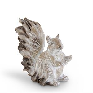 Whitewashed Squirrel