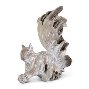 Whitewashed Squirrel