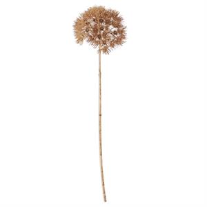Tan Allium Stem 29 Inch
