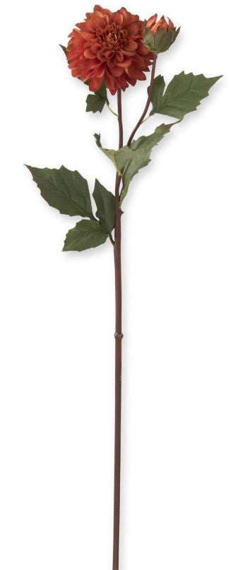 26 Inch Rust Bud And Blossom Dahlia Stem
