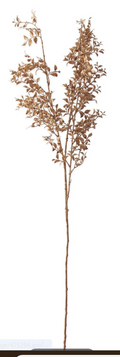 36 Inch Tan Similax Spray