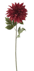 26 Inch Burgundy Dahlia Stem