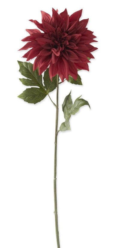 26 Inch Burgundy Dahlia Stem