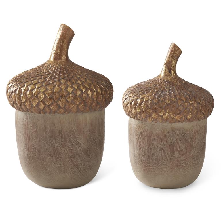 Woodgrain Acorn With Gold Top