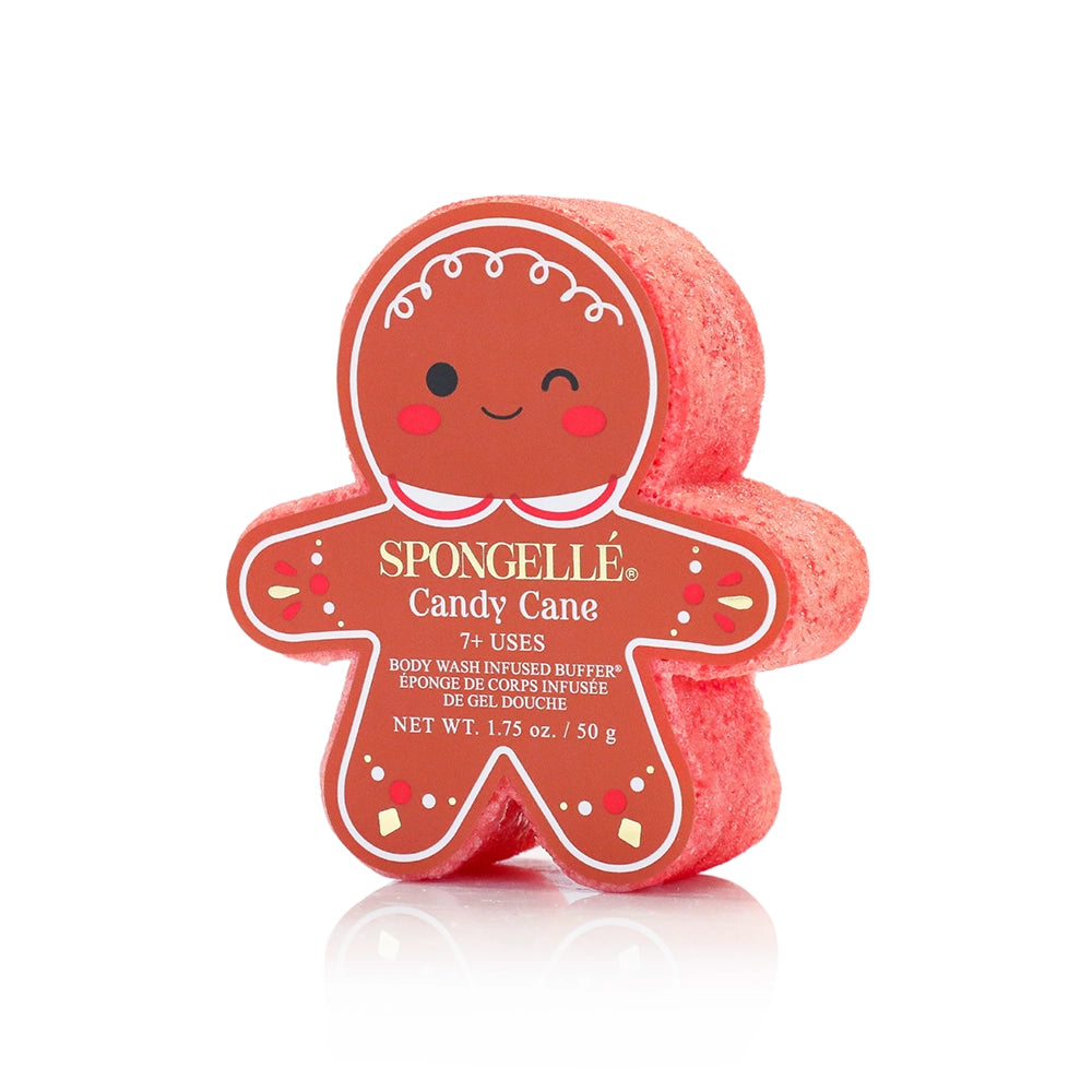 Spongelle Gingerbread Buffers