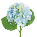 Blue Hydrangea Spray