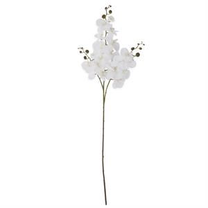 47 Inch Orchid Spray