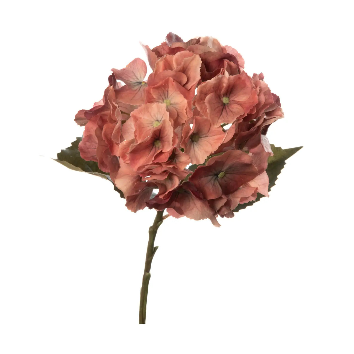 Real Touch Hydrangea Terra Cotta