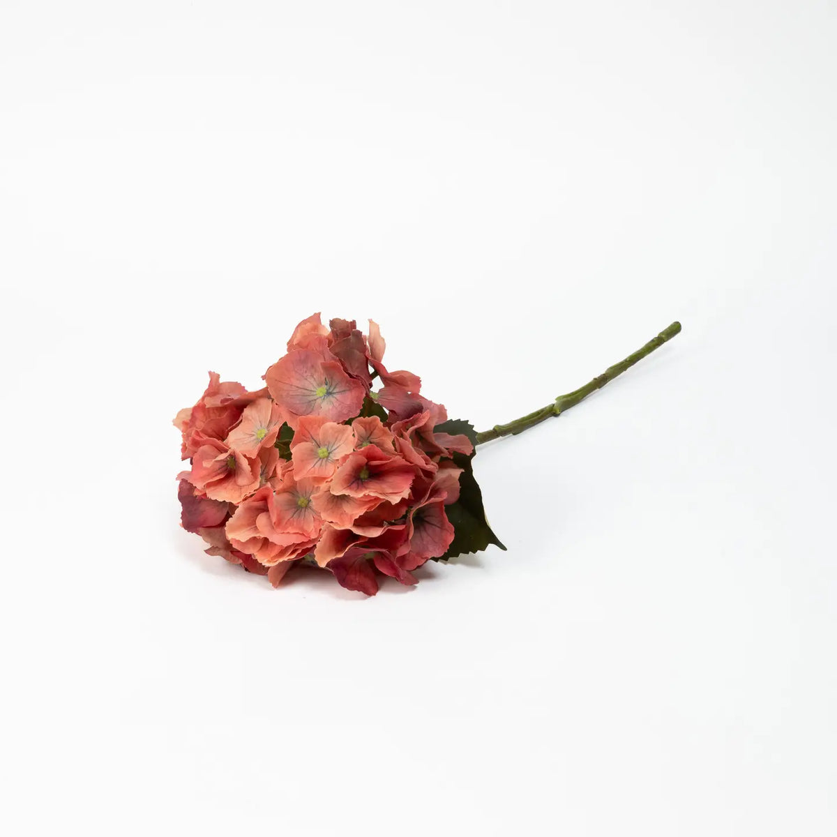 Real Touch Hydrangea Terra Cotta